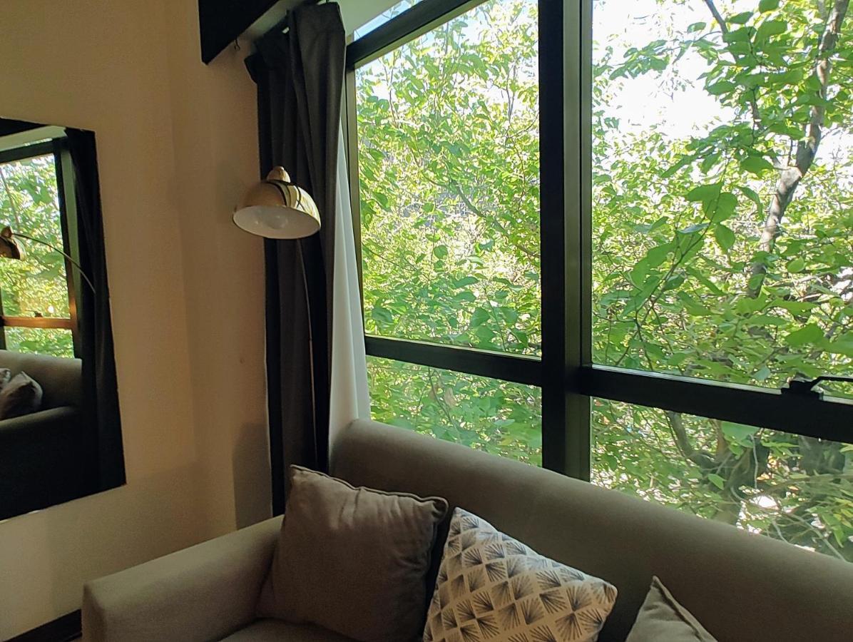 Terrazas De Colon 11 Appartement Mendoza Buitenkant foto